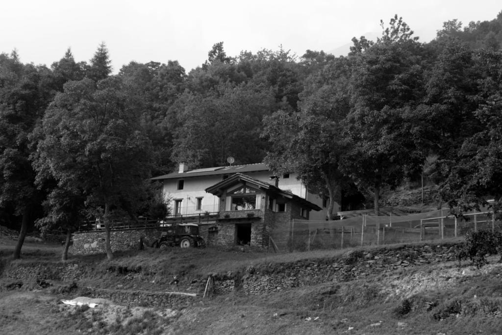 Locanda Il Campo Della Quercia San Damiano Macra Exterior foto